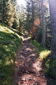 Un esempio di sentiero naturalistico